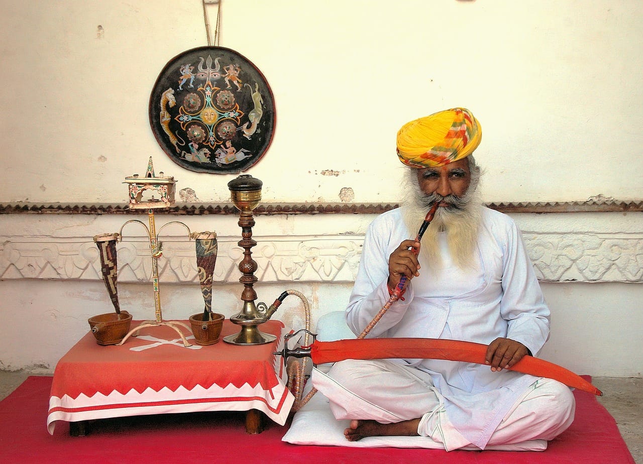 Szwajcarskie safari: Obserwacje dzikiej przyrody w sercu Europy