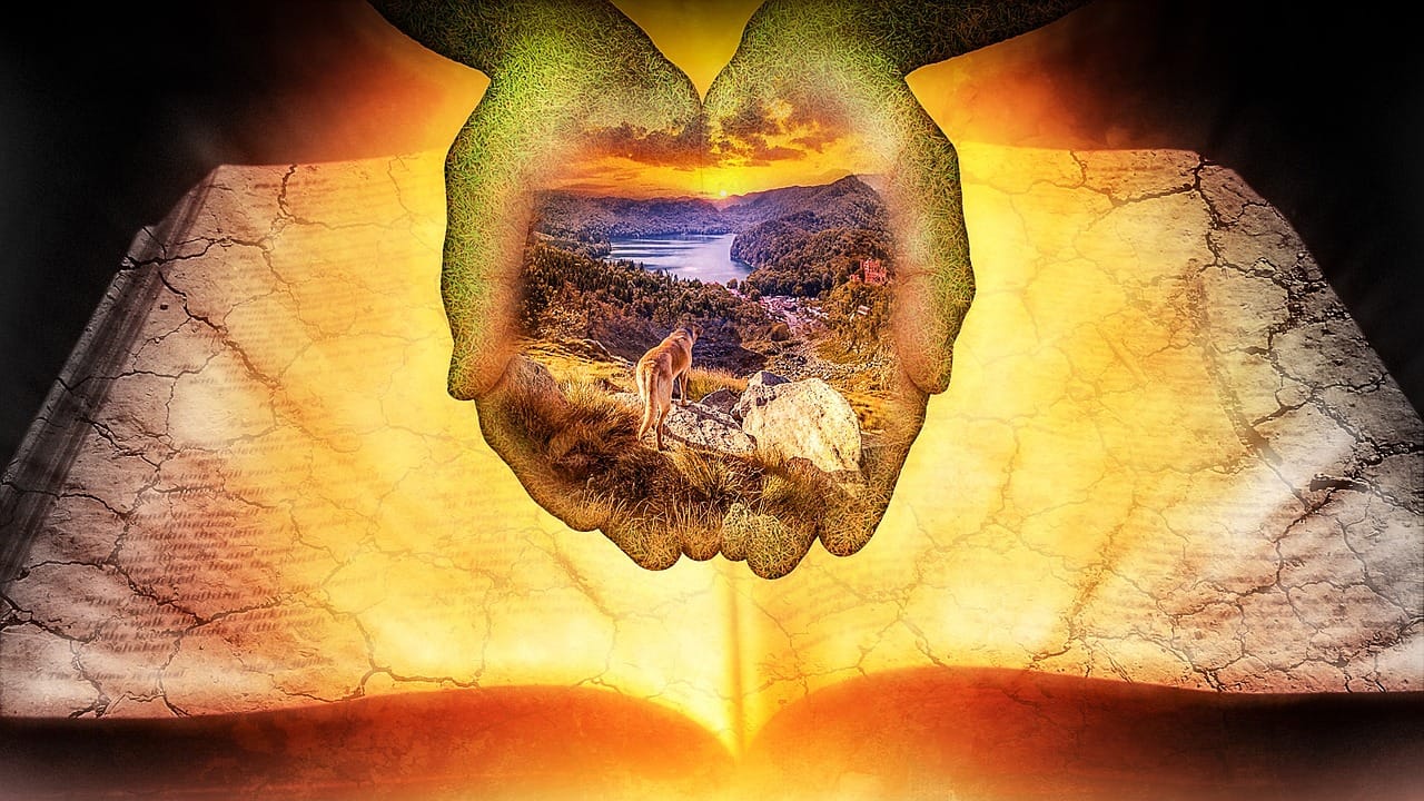 Pisco: Historia i tradycje narodowego trunku Peru