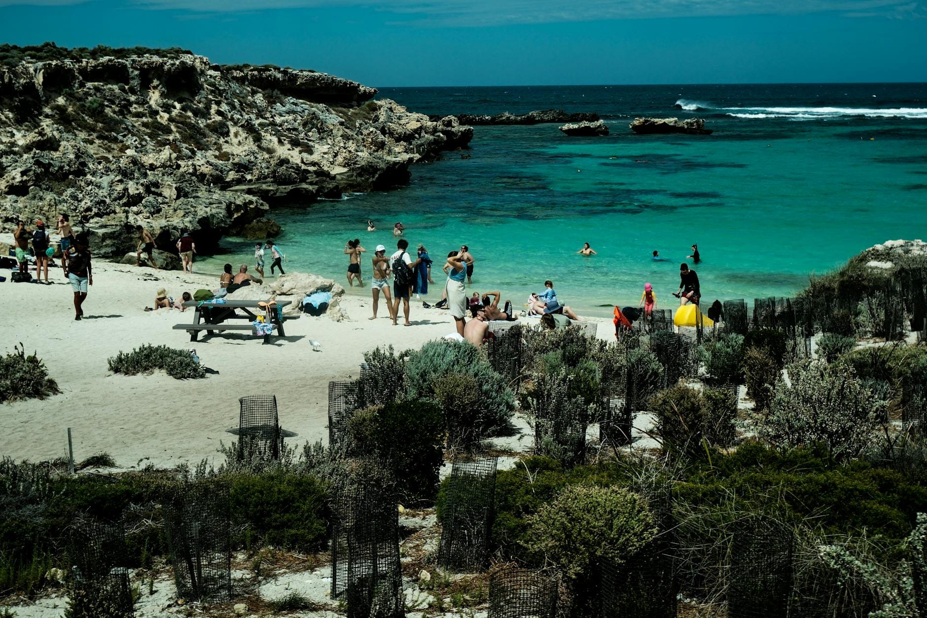 Tłumnie odwiedzana plaża na słonecznej wyspie Rottnest w Australii
