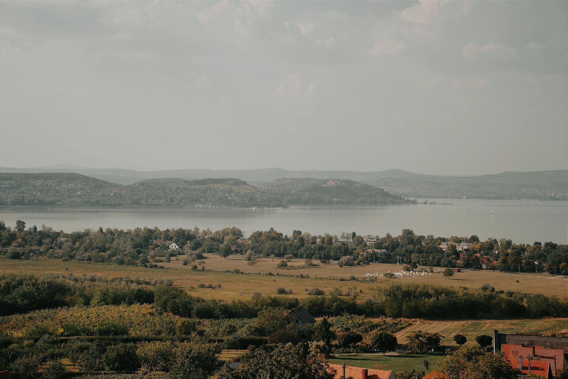 Widok na jezioro Balaton z tarasu winnicy na węgierskim wzgórzu